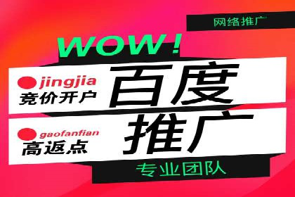 精准投放，高效转化——网站sem托管的胜利案例